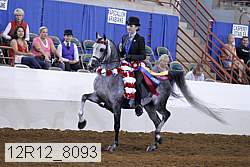 12r12_8093 proof
