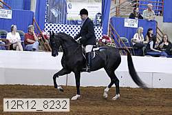 12r12_8232 proof