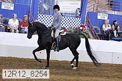 12r12_8254 proof