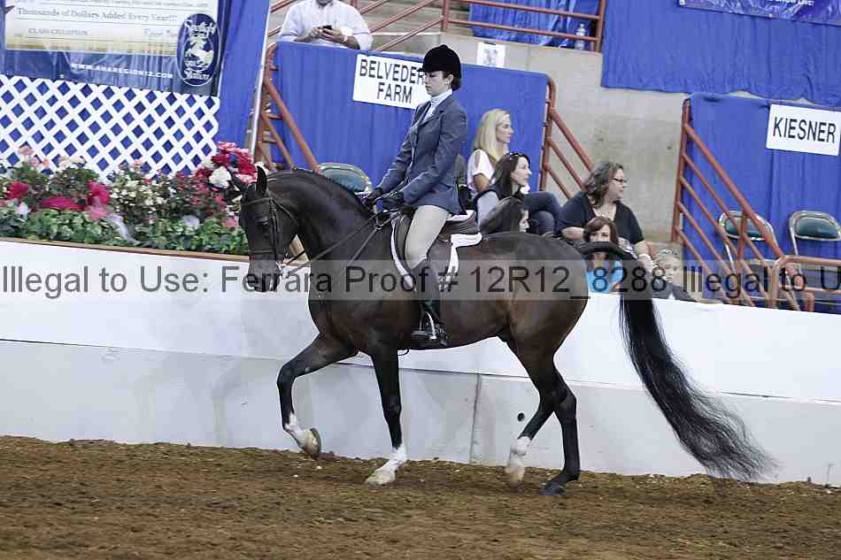 Proof 12r12_8288