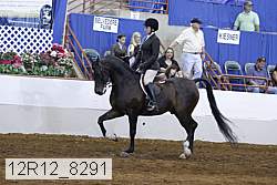 12r12_8291 proof