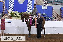 12r12_8331 proof