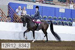 12r12_8342 proof