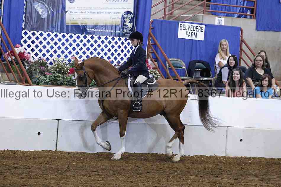 Proof 12r12_8367
