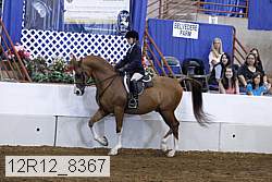 12r12_8367 proof