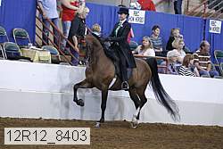 12r12_8403 proof