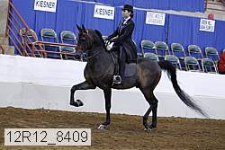 12r12_8409 proof