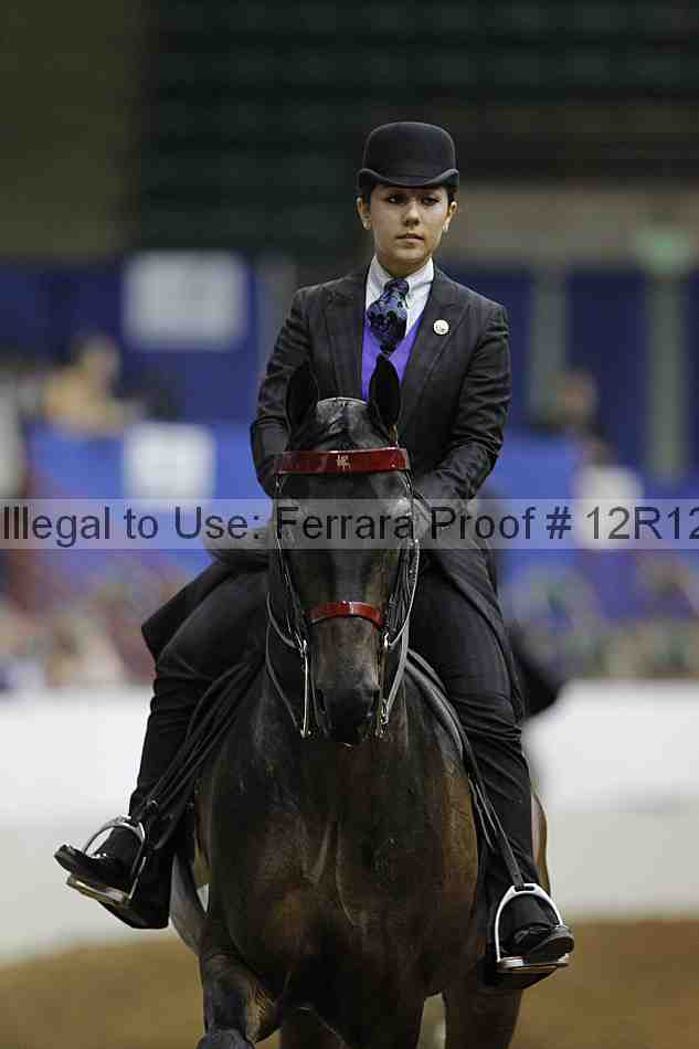 Proof 12r12_8416