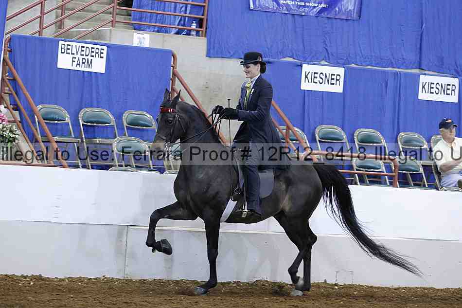 Proof 12r12_8418