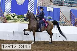 12r12_8445 proof