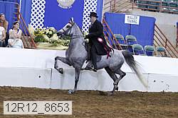12r12_8653 proof