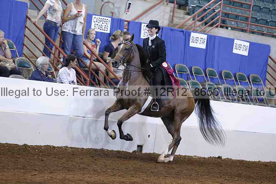 Proof 12r12_8656