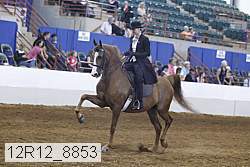 12r12_8853 proof