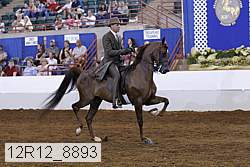 12r12_8893 proof