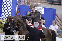 12r12_8904 proof