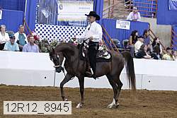 12r12_8945 proof
