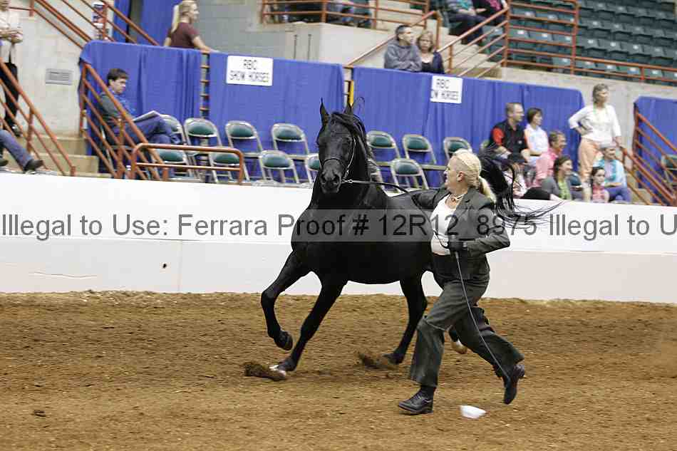 Proof 12r12_8975