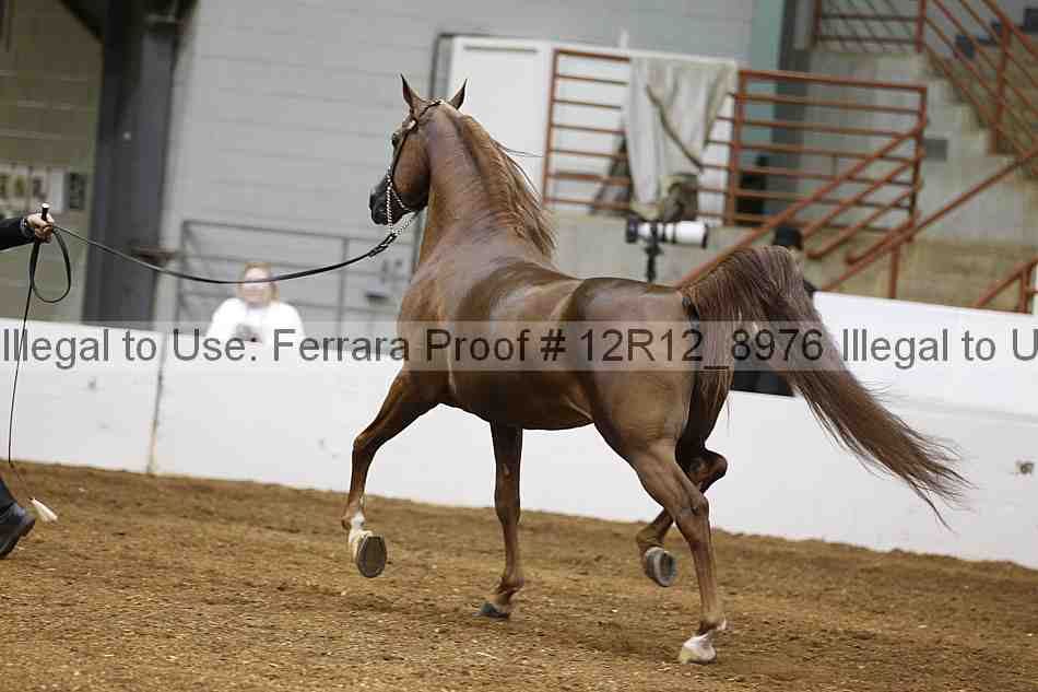 Proof 12r12_8976