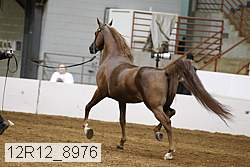 12r12_8976 proof