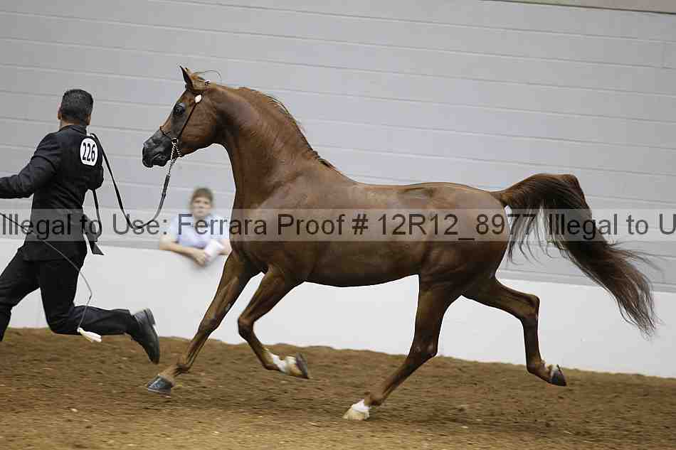 Proof 12r12_8977