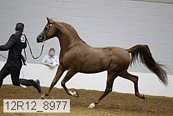12r12_8977 proof