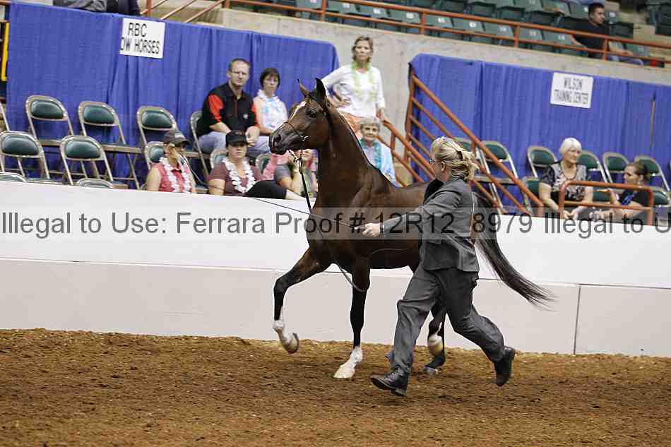 Proof 12r12_8979