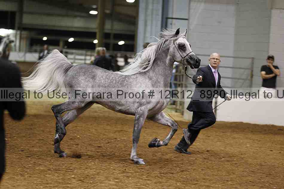 Proof 12r12_8980