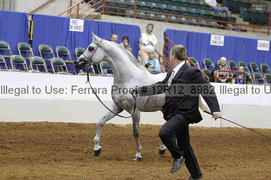 Proof 12r12_8982