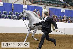 12r12_8983 proof