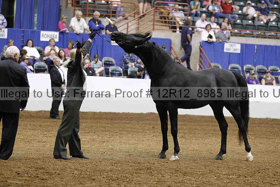 Proof 12r12_8985