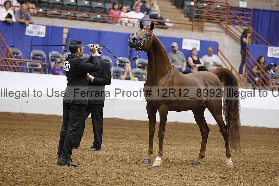 Proof 12r12_8992