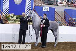 12r12_9022 proof