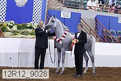 12r12_9028 proof