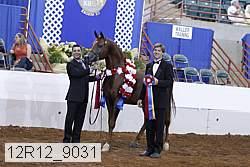 12r12_9031 proof
