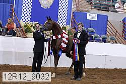 12r12_9032 proof