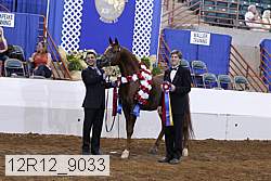 12r12_9033 proof
