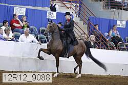 12r12_9088 proof