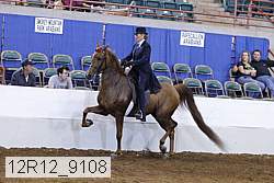 12r12_9108 proof