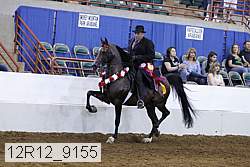 12r12_9155 proof