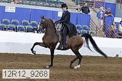 12r12_9268 proof