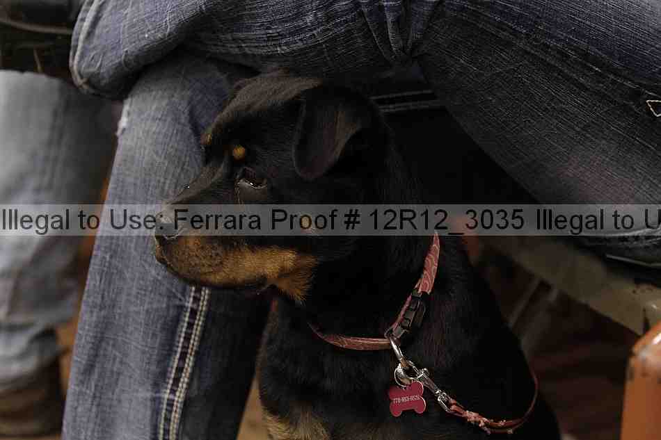 Proof 12r12_3035
