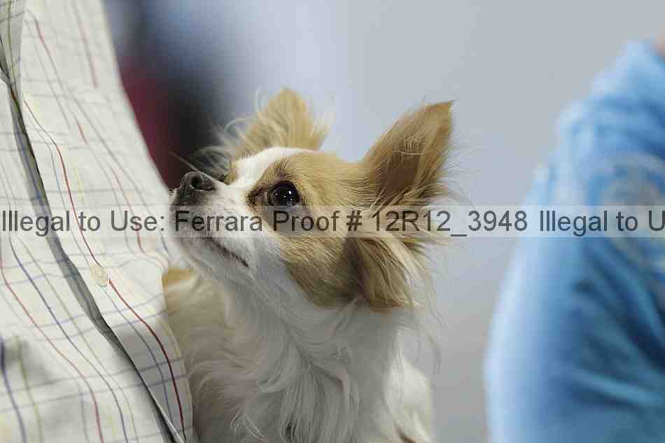 Proof 12r12_3948