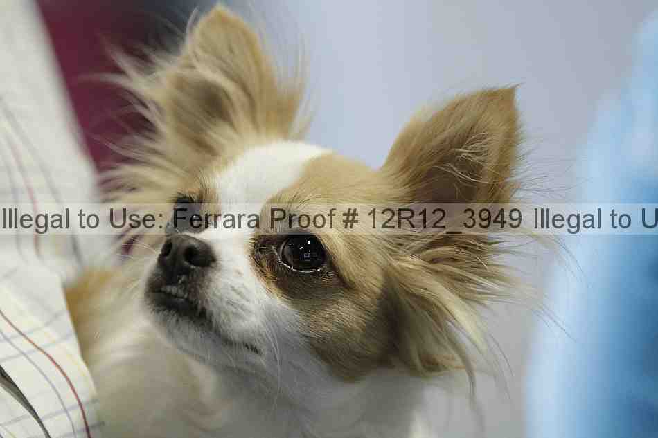 Proof 12r12_3949