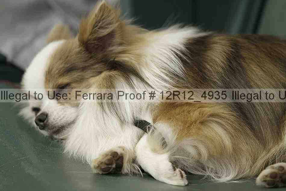 Proof 12r12_4935