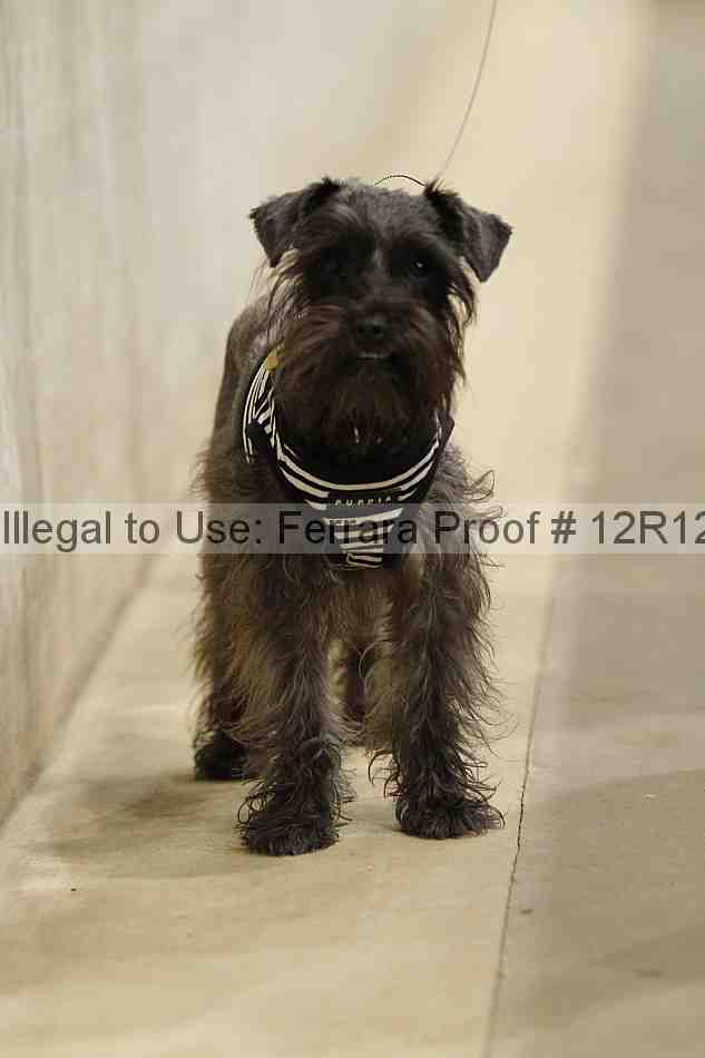 Proof 12r12_5496