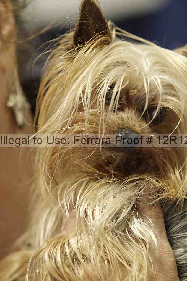 Proof 12r12_5945