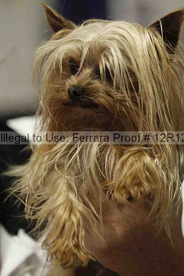 Proof 12r12_5948