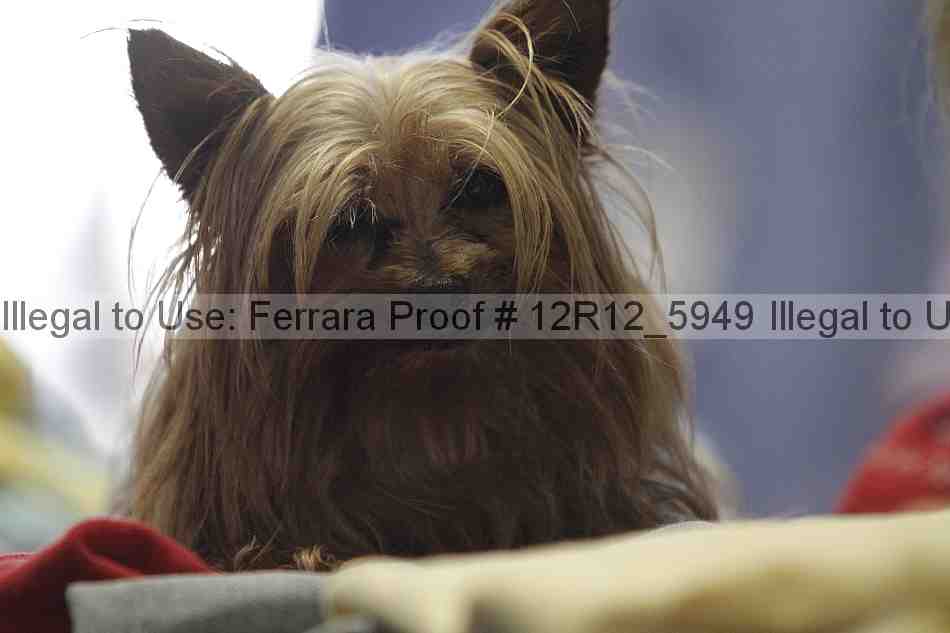 Proof 12r12_5949