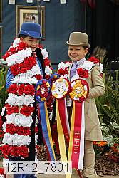 12r12_7801 proof