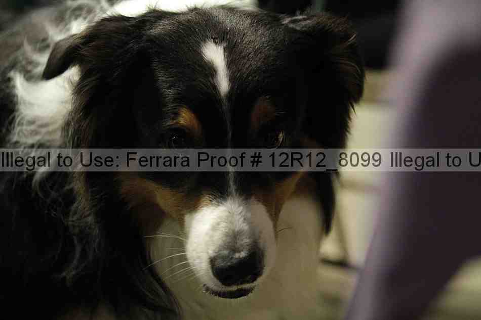 Proof 12r12_8099
